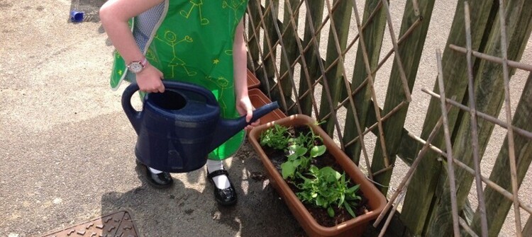 Going Green at Madley Going Green at Madley